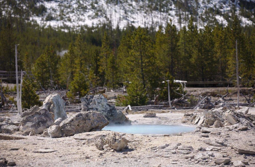 Porkchop Geyser, Norris Geyser Basin, Yellowstone National Park