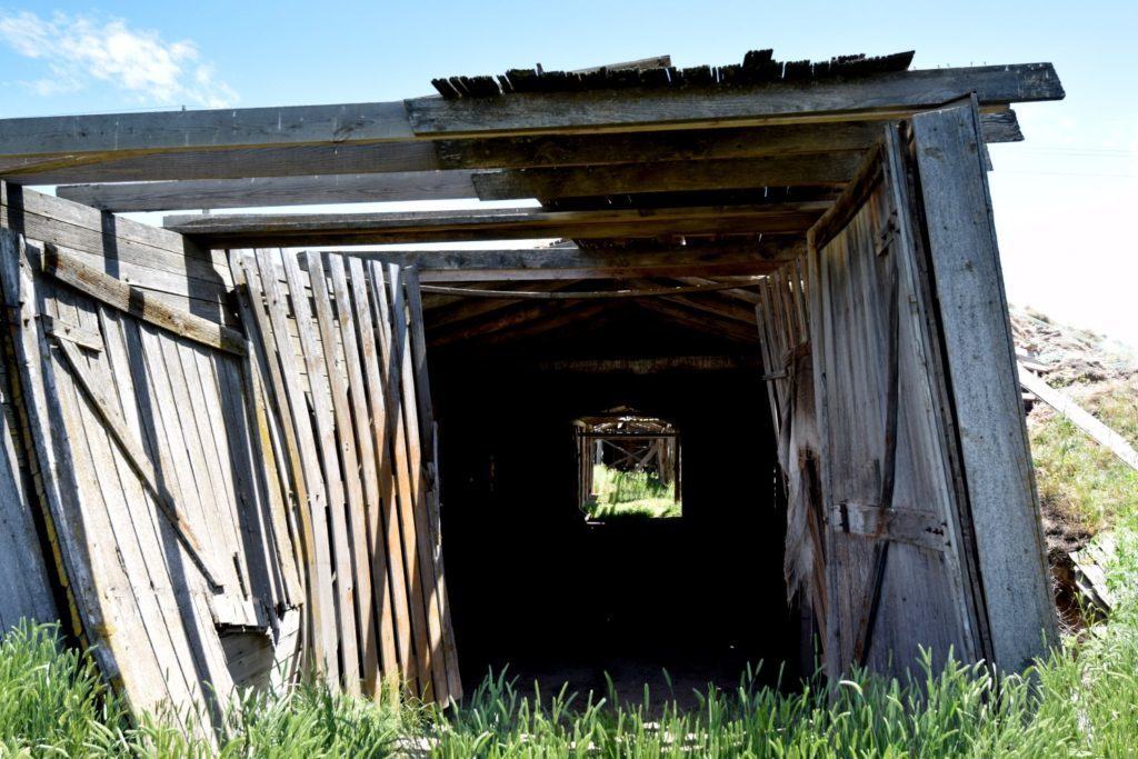 Root Cellar