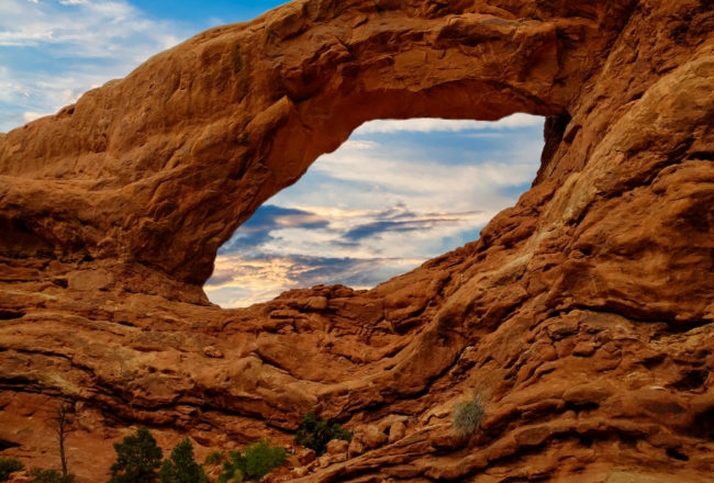 Window Arch