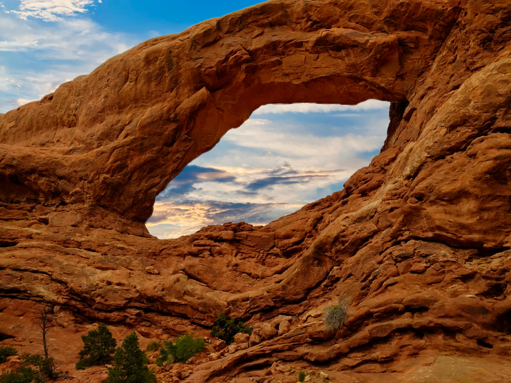 Window Arch