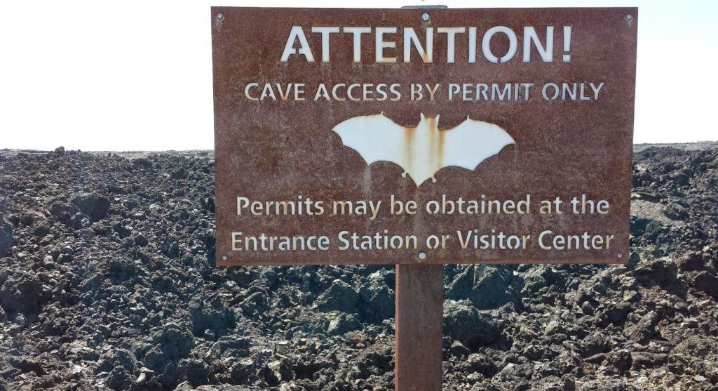 Prevent the needless death of our beloved bats. Get a permit at the Visitors Center.