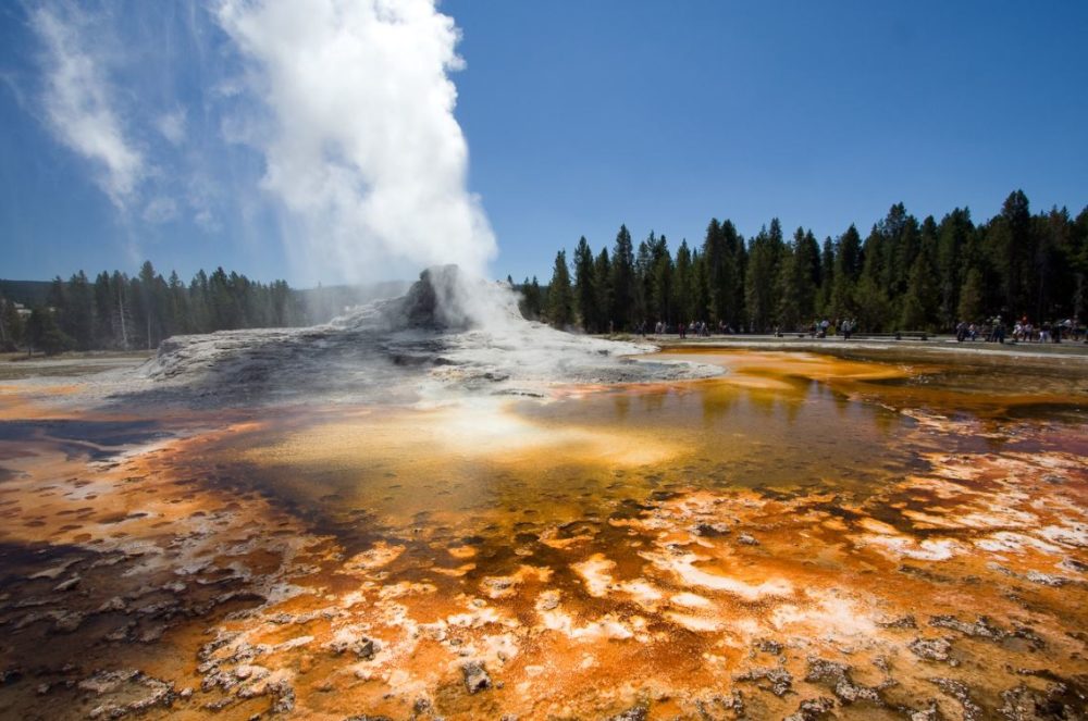 Castle Geyser 