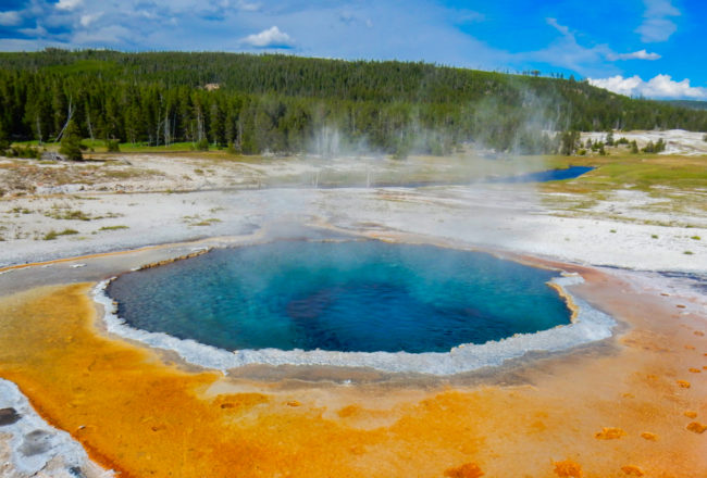 Crested Pool