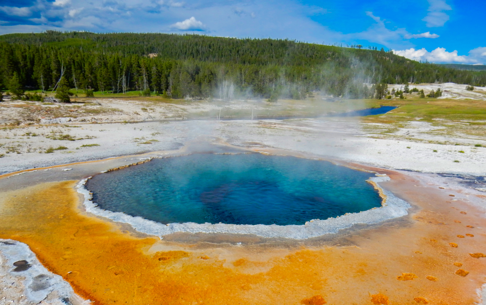 Crested Pool