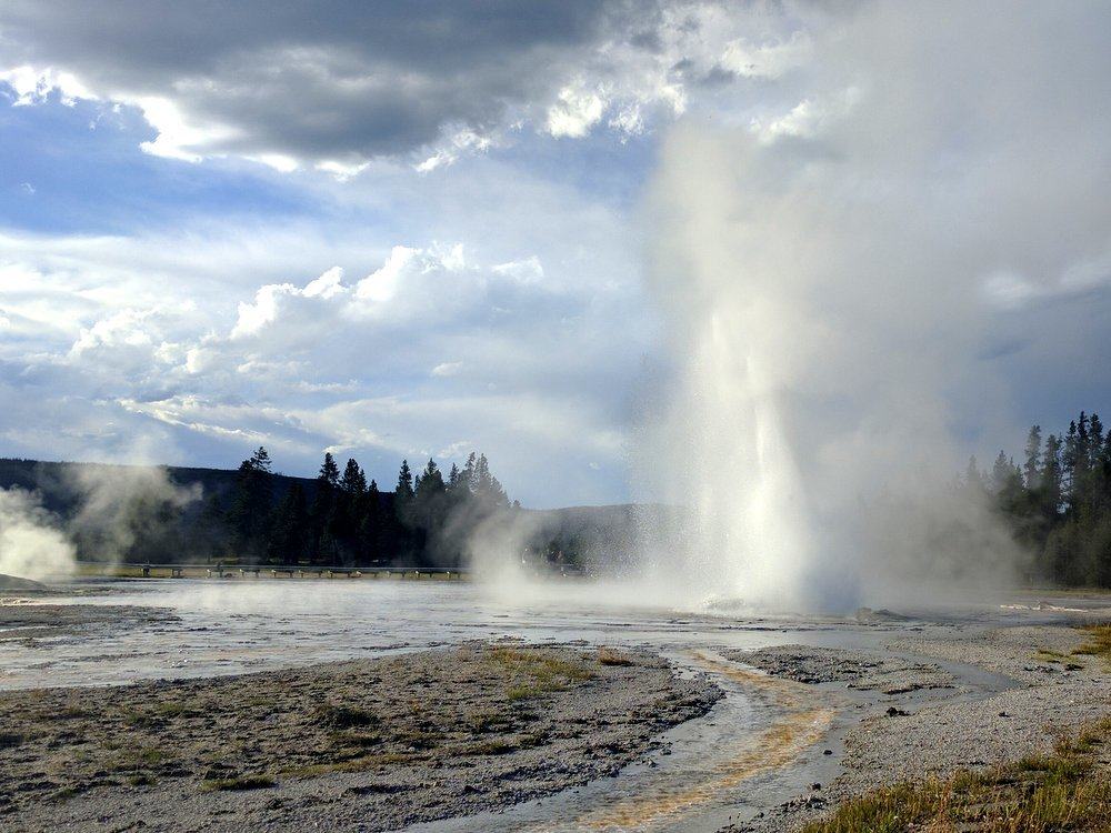 Daisy Geyser 2016