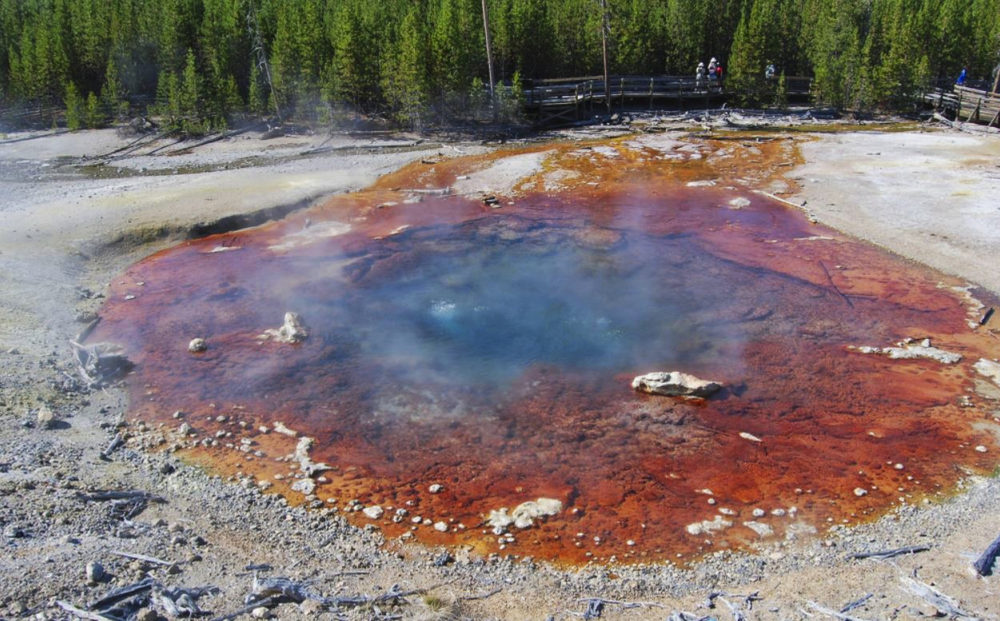 Echinus Geyser