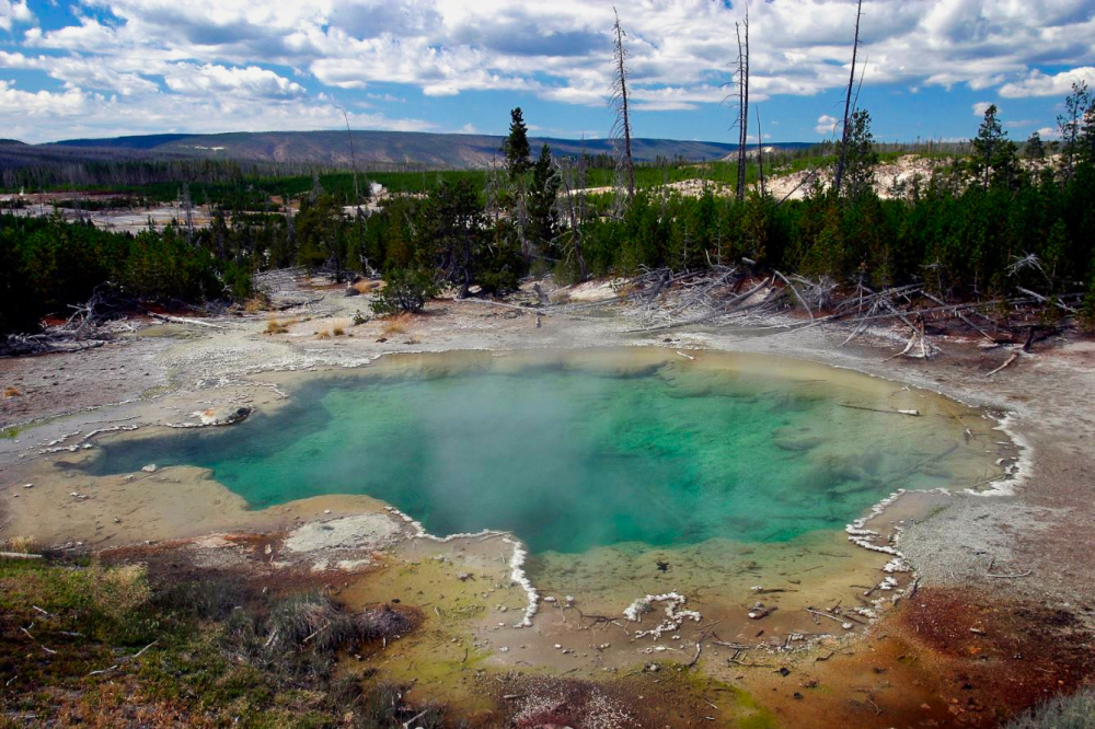 Emerald Spring is a mostly calm pool, which usually only has a few bubbles rising to the surface. But don't let that fool you, temperatures still average near 195° F