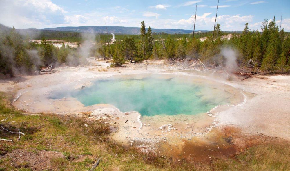 Emerald Spring is a mostly calm pool, which usually only has a few bubbles rising to the surface