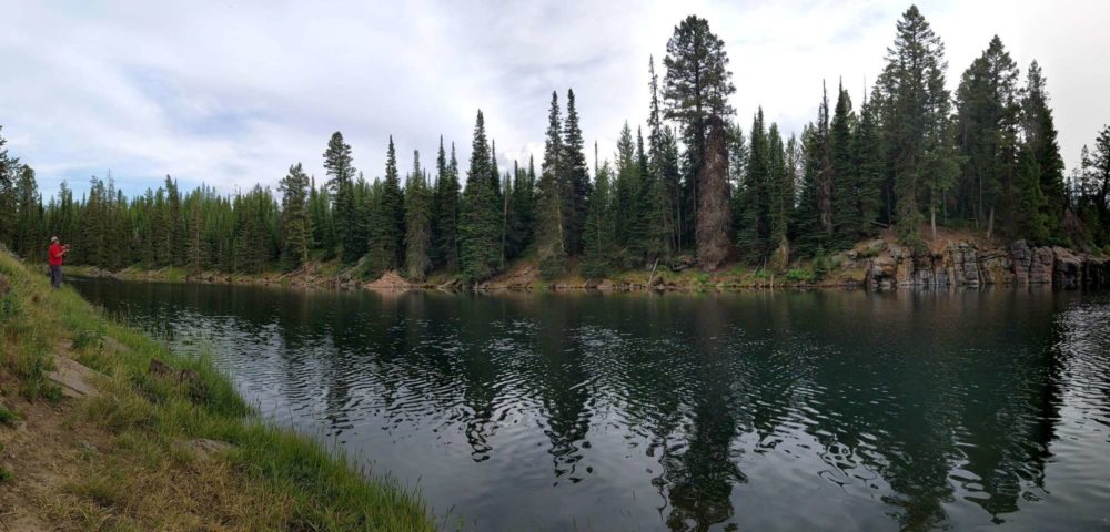 Near where Buffalo River and Henrys Fork River meet.