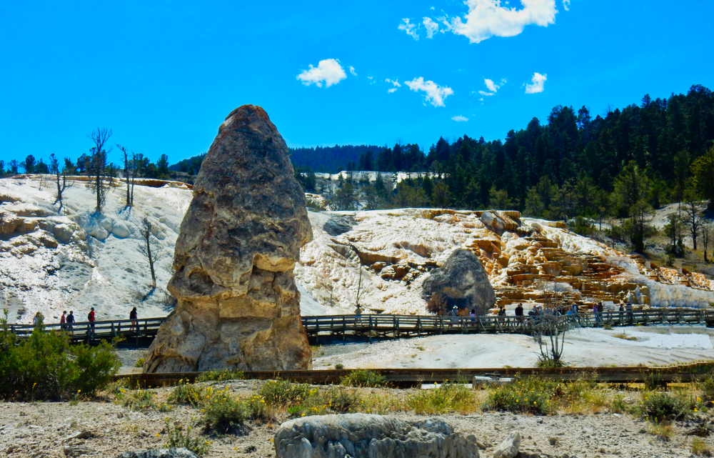 Liberty Cap