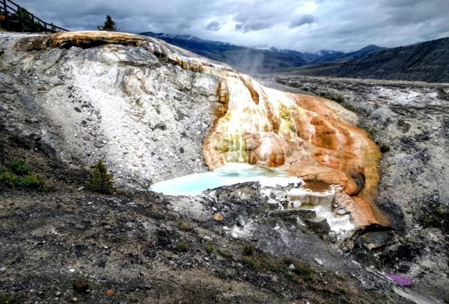 Mammoth Hot Springs