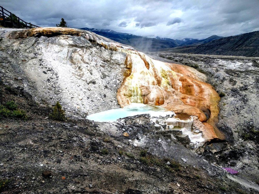 Mammoth Hot Springs