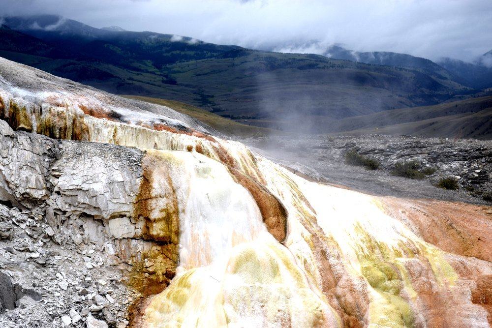 Colors of Mammoth are created by Thermophiles, heat loving bacteria.