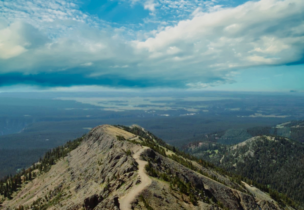 View South from Mount Washburn