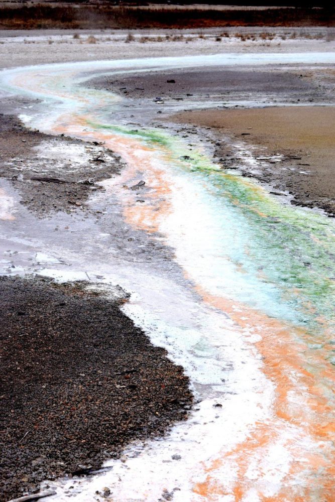Thermophiles and minerals mix together to make the colors of Norris Geyser Basin.