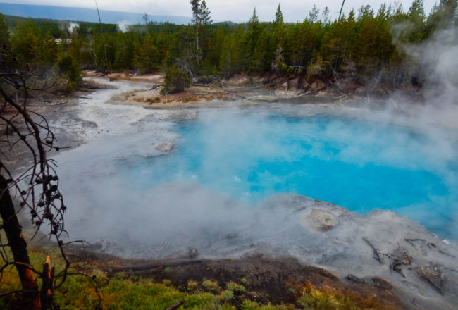 Norris Geyser Basin