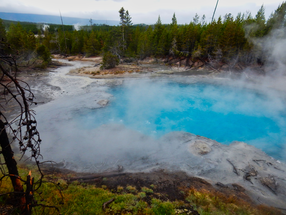 Norris Geyser Basin