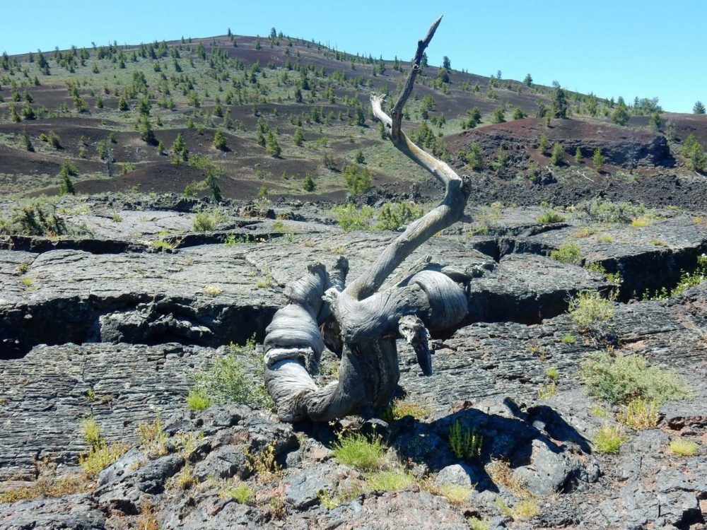 Triple Twist upon the Lava Flow