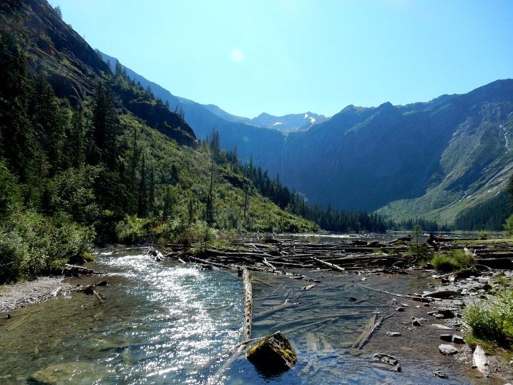 Avalanche Lake - Creek Outlet