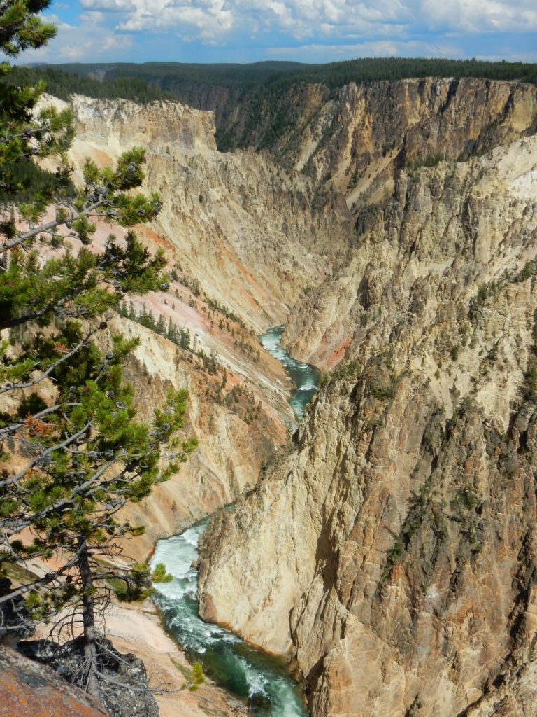 Canyon-Yellowstone