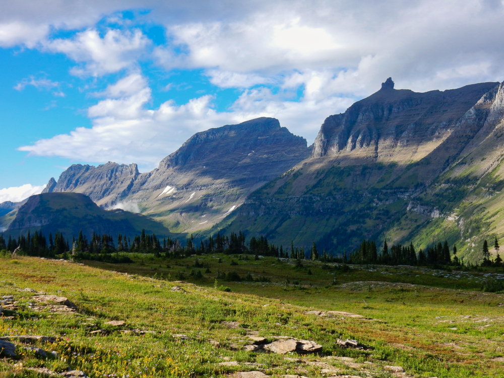 Logan Pass