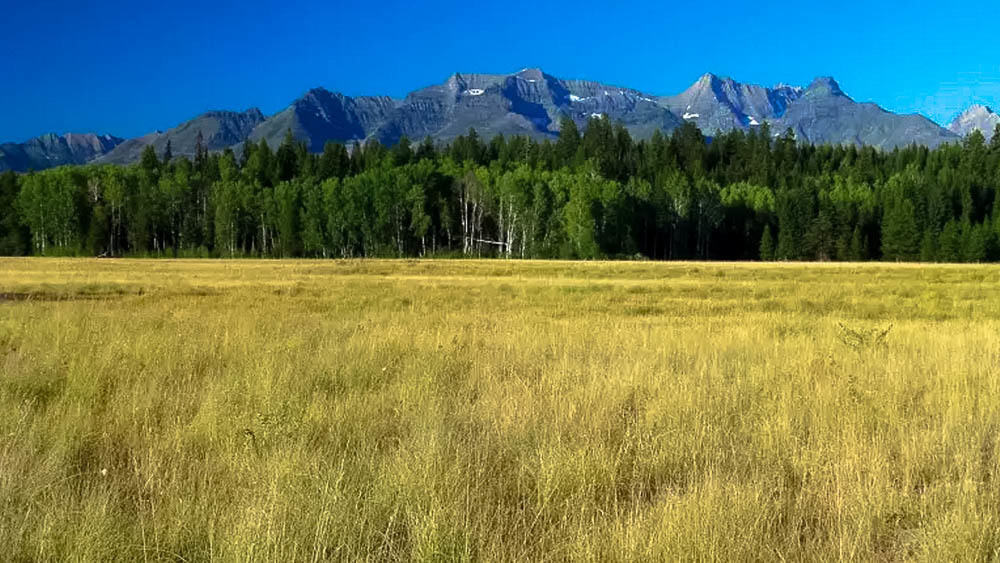 North Fork Field