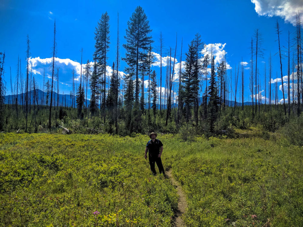 Hitch on the Howe Lake Trail