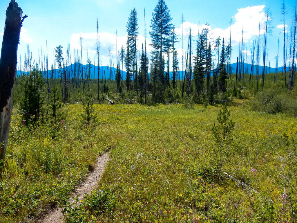 Howe Lake Trail