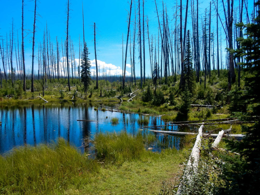 Howe Lake