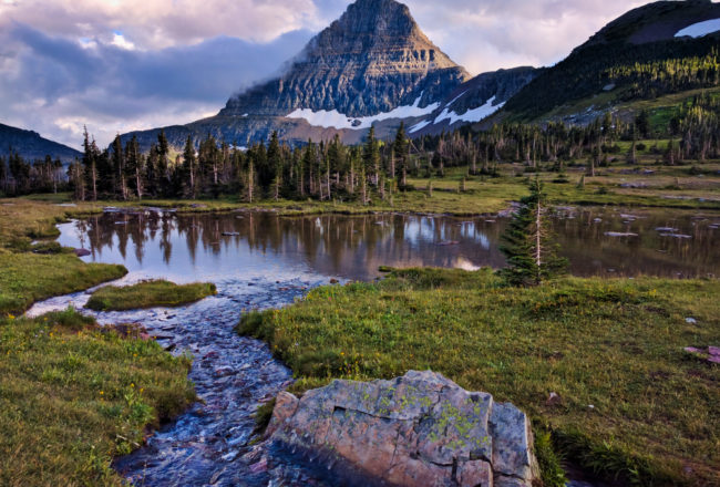 Logan Pass Stream