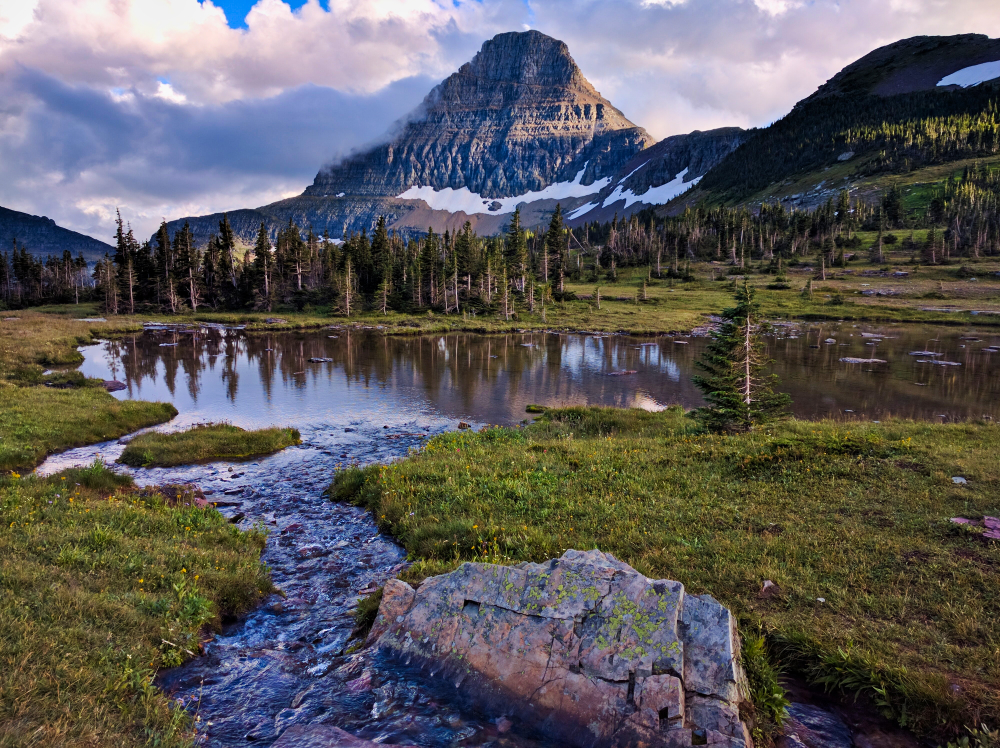 Logan Pass Stream