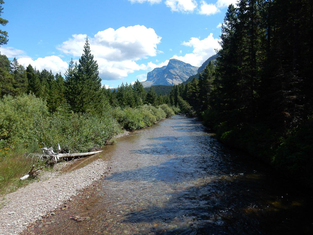 Swiftcurrent Creek