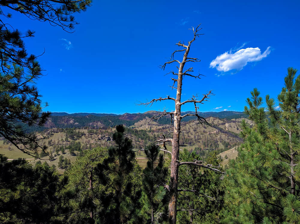 Rankin Ridge - View of Southern Black Hills