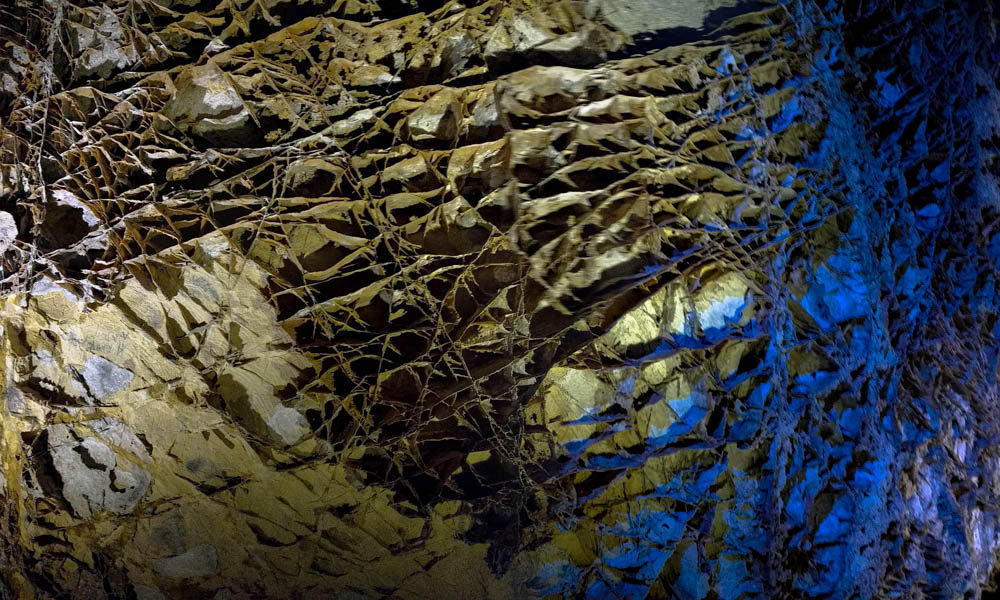 Wind Cave Ceiling 