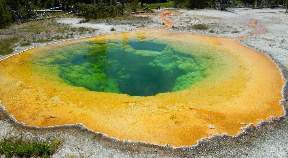 Hot pool in Yellowstone shows vivid yellow and green colors.