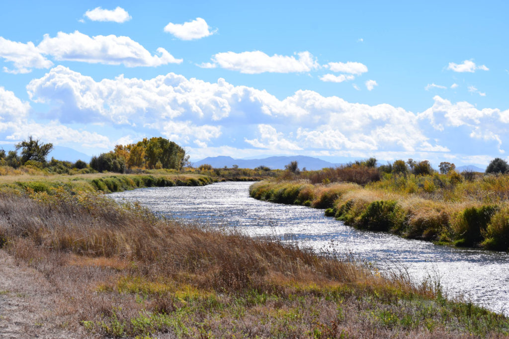 Alamosa Rio Grande River Trail