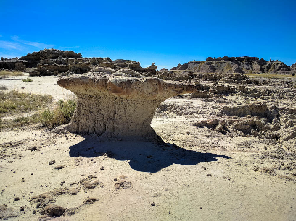 Badlands mushroom