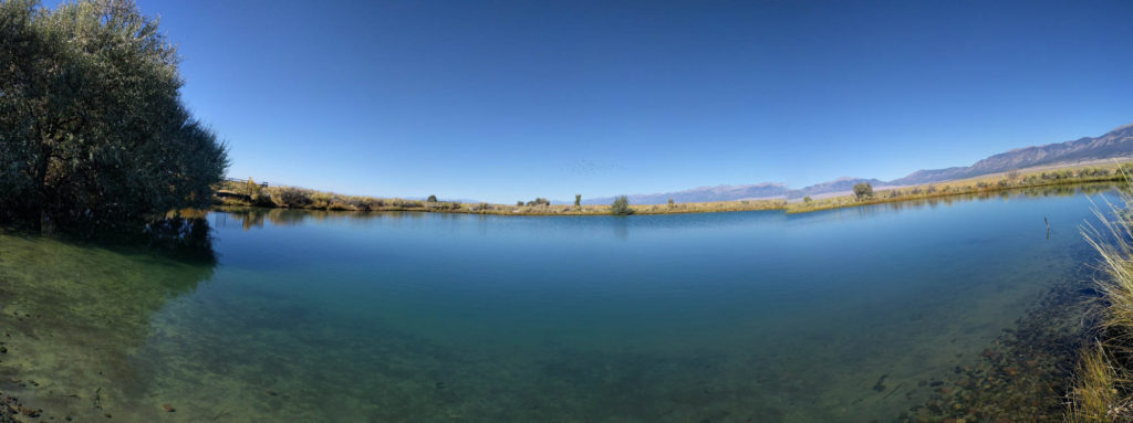 Blanca Wetlands Pond