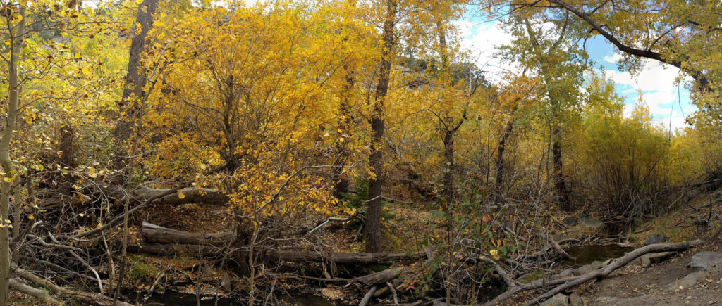 Mosca Creek Panorama