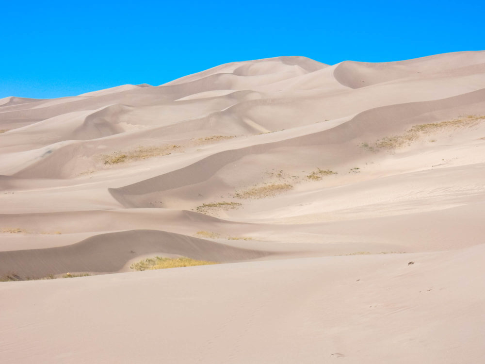 The tallest sand dune is roughly 750 Feet tall