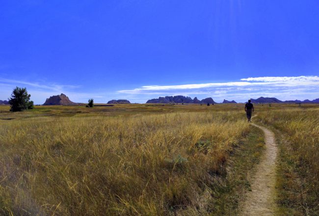 On Medicine Root Loop Trail