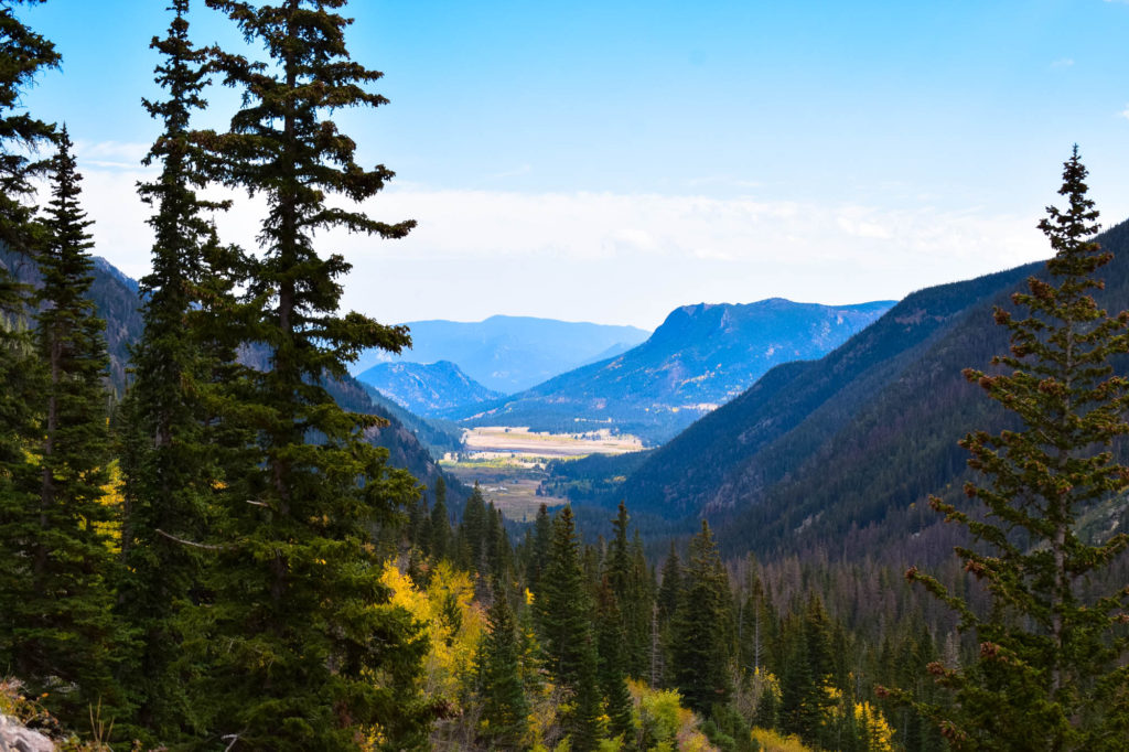 View of the valley below from Old Fall River Road