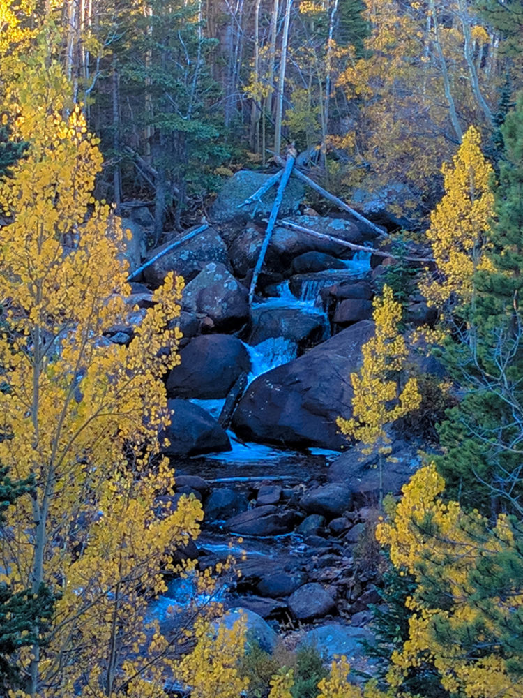 Aspen Gold Rush - When the colors change from Aug to Oct