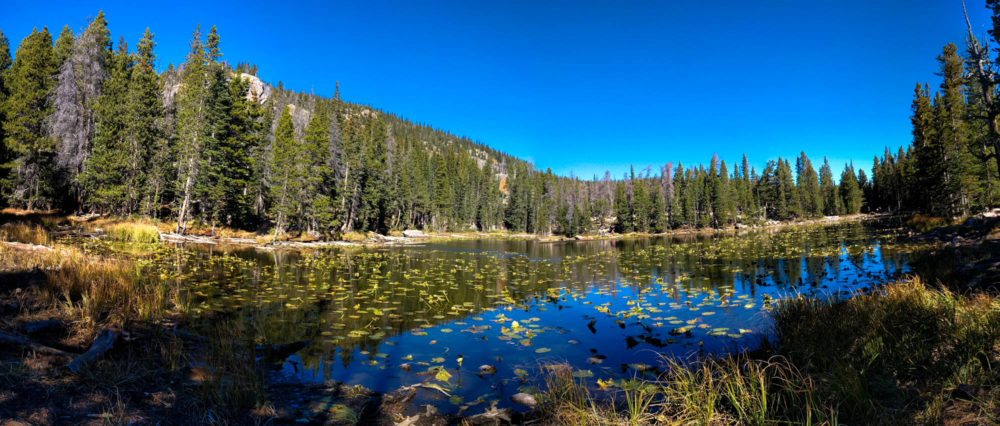 Nymph Lake