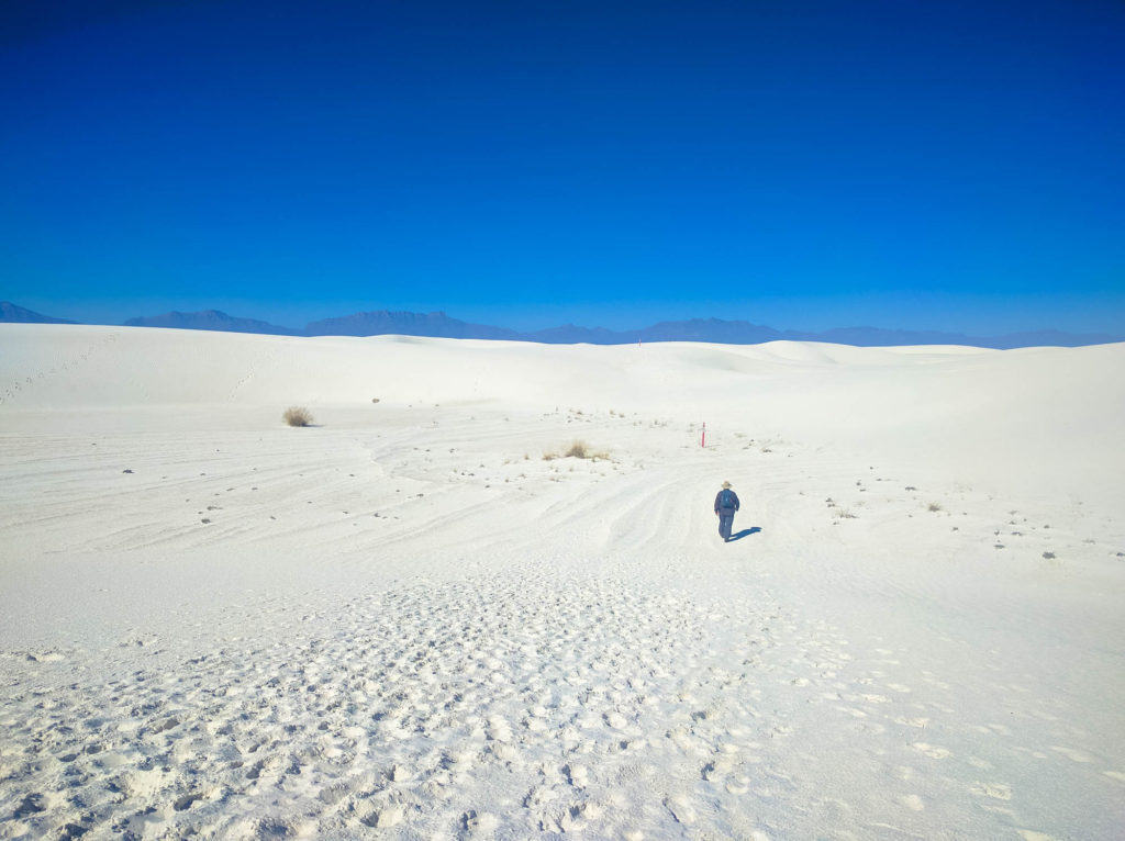 Along Alkali Flat Trail