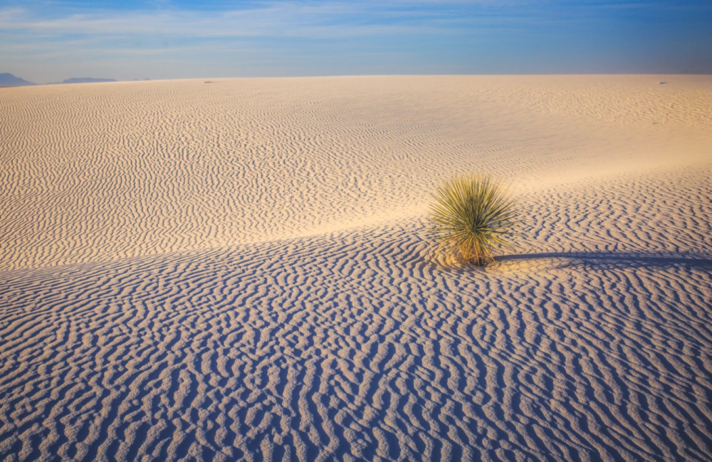 Along White Sands Natural Trail