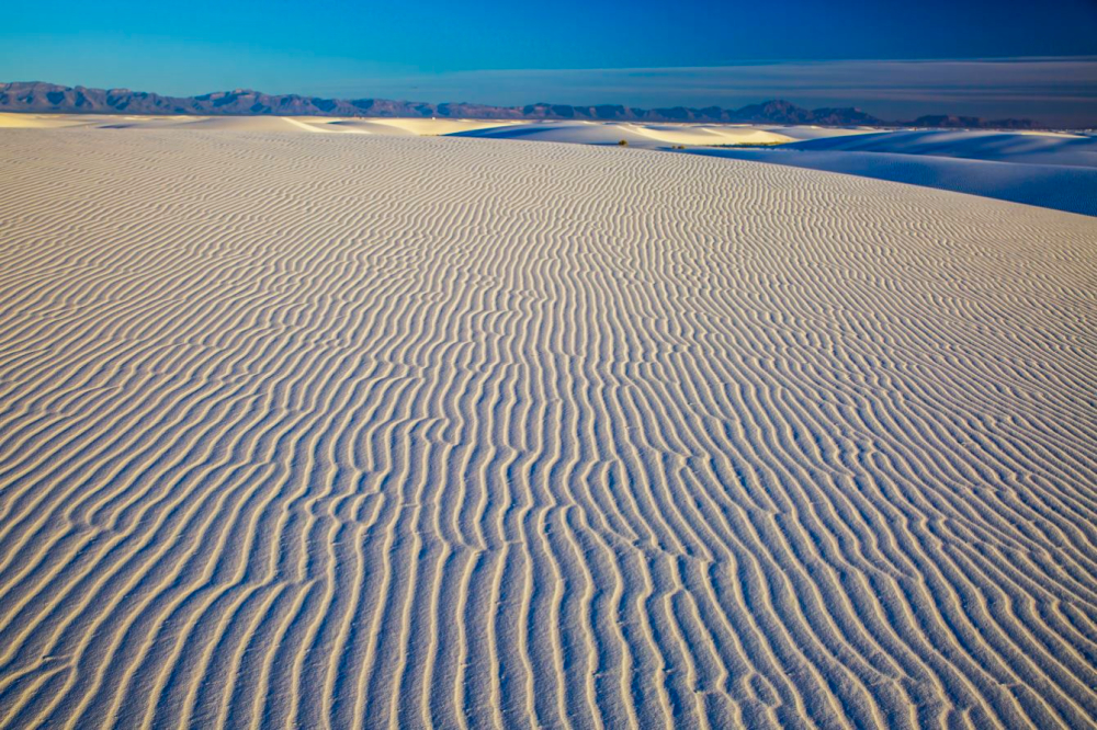 Patterns in the Sand