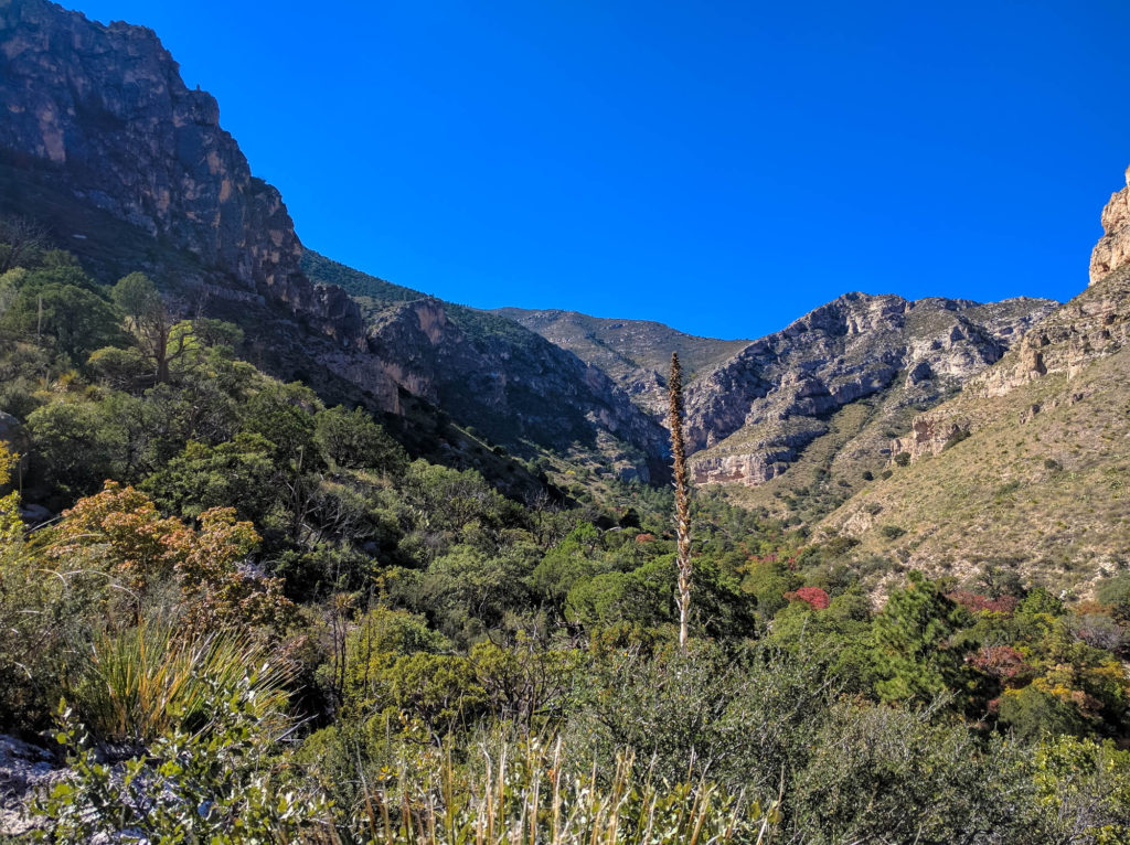 Along Pine Springs Trail