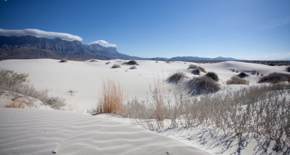 Salt Basin Dunes