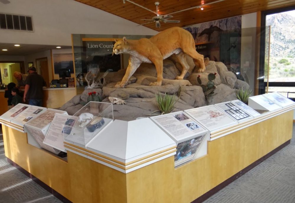Chisos Visitor Center - Take a moment to learn some bear and mountain lion safety